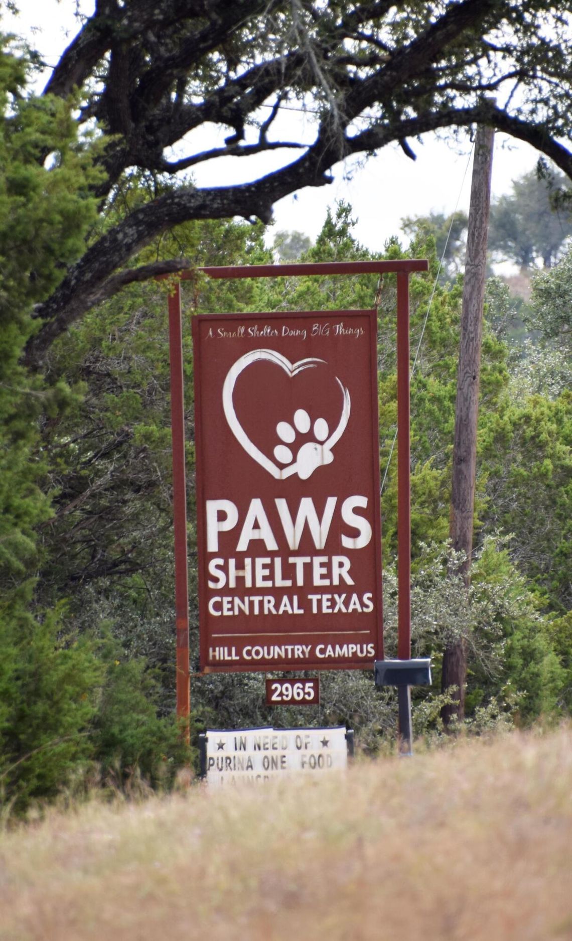 Laurie Anderson The PAWS shelter in Dripping Springs has also had improvements thanks to volunteers and donors.