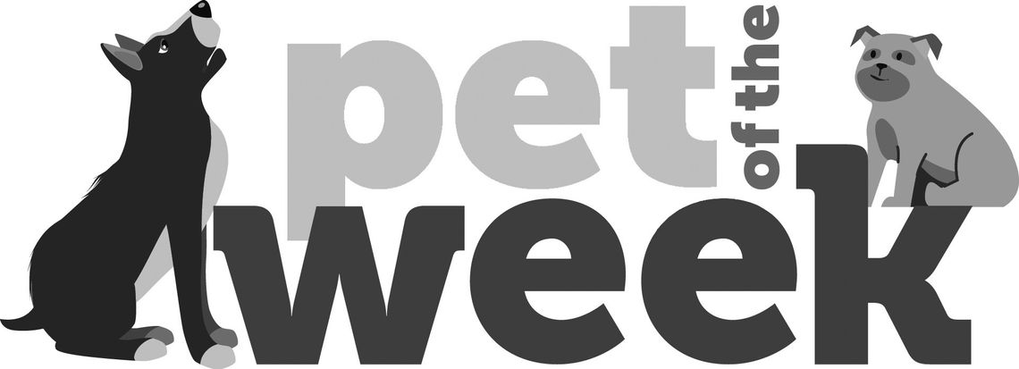 Pet of the week