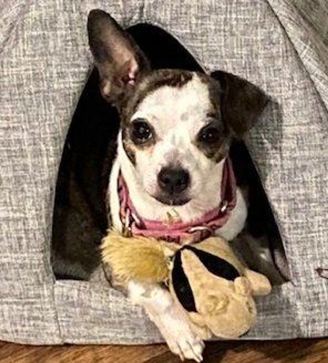 Image Tater (6).jpg (10487438)