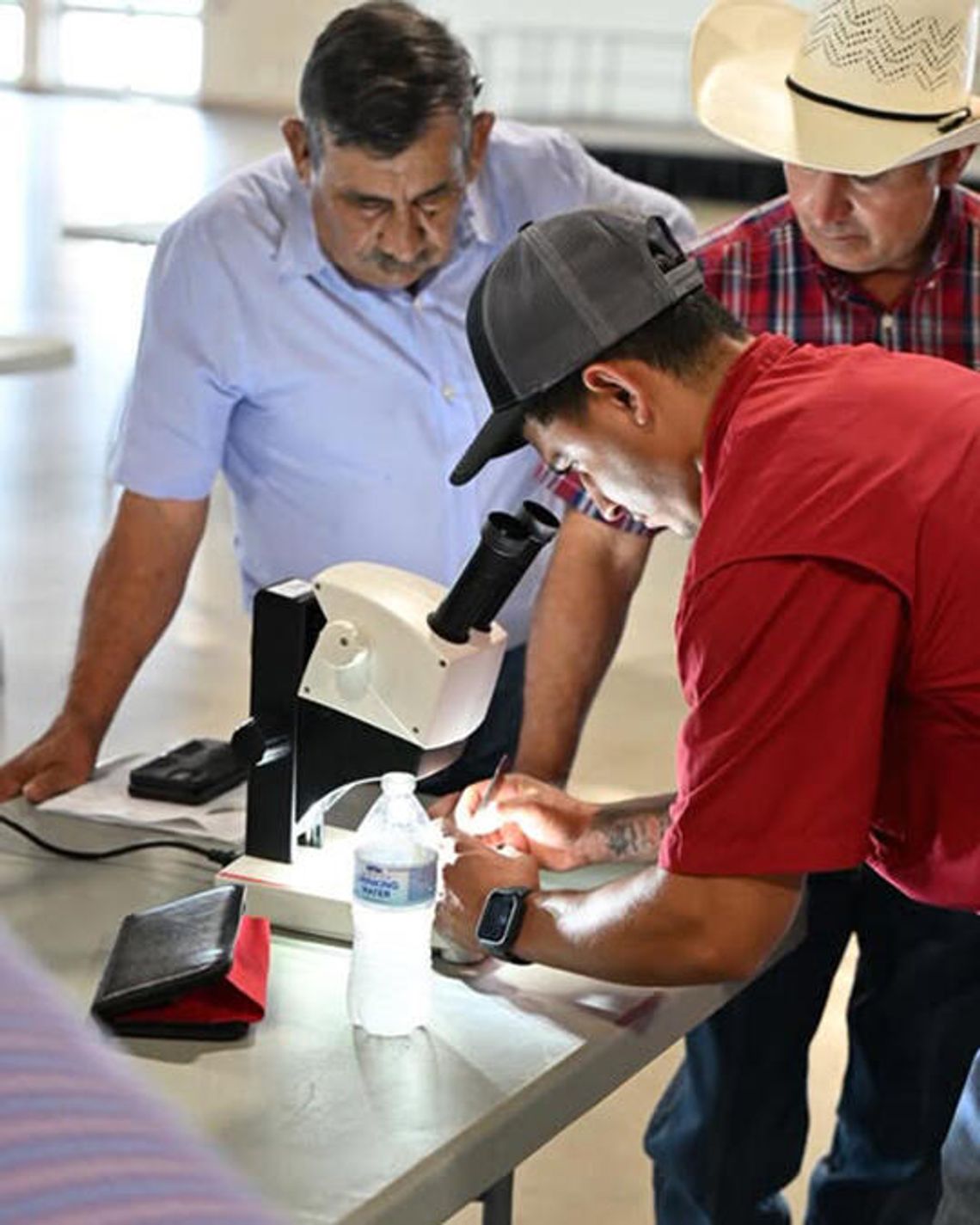 Screwworms arrive in Texas Screwworms arrive in Texas