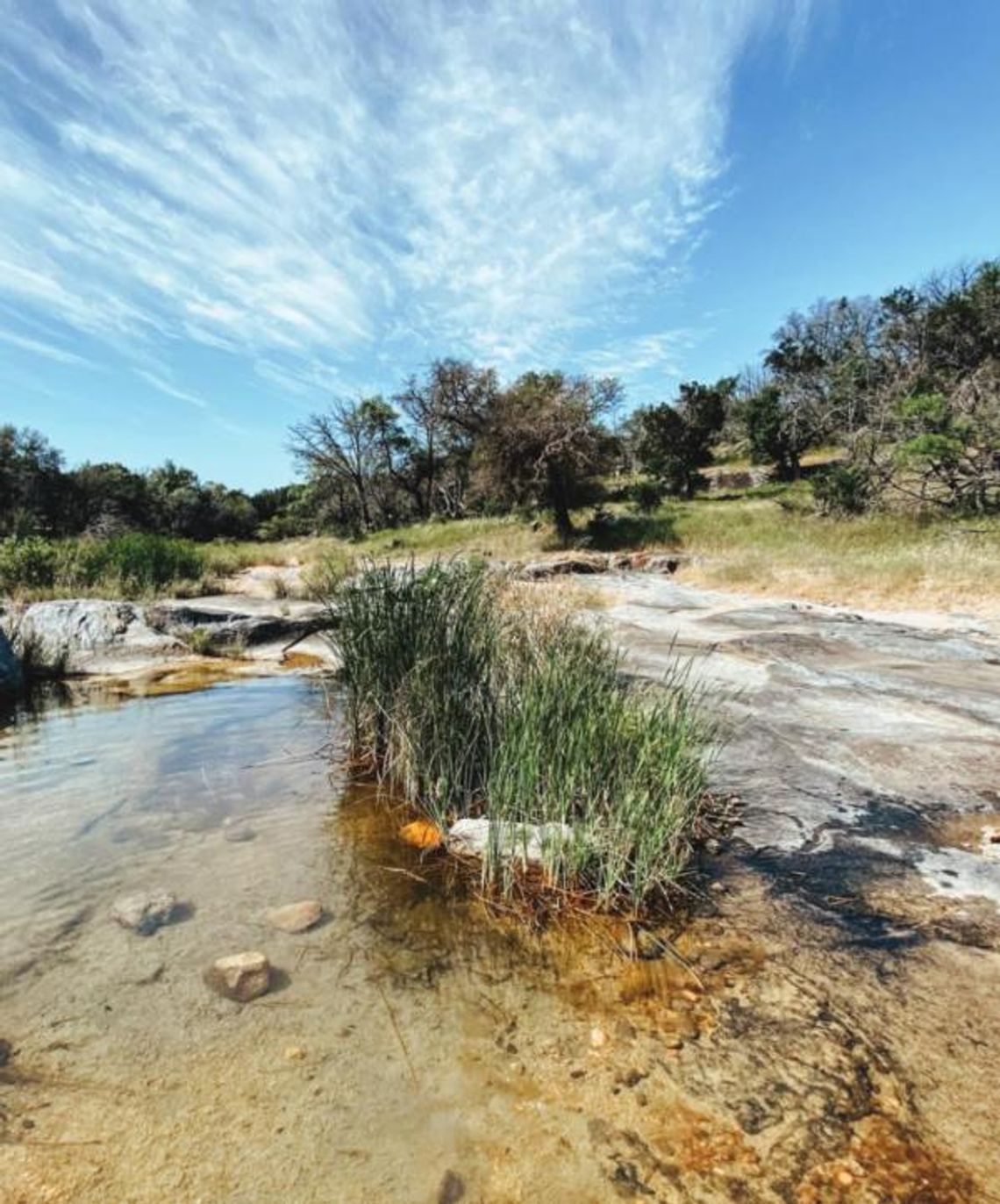 Texans asked to participate in water survey