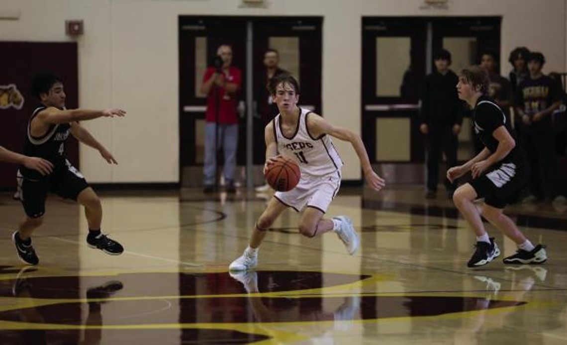 Tiger basketball splits first two district games