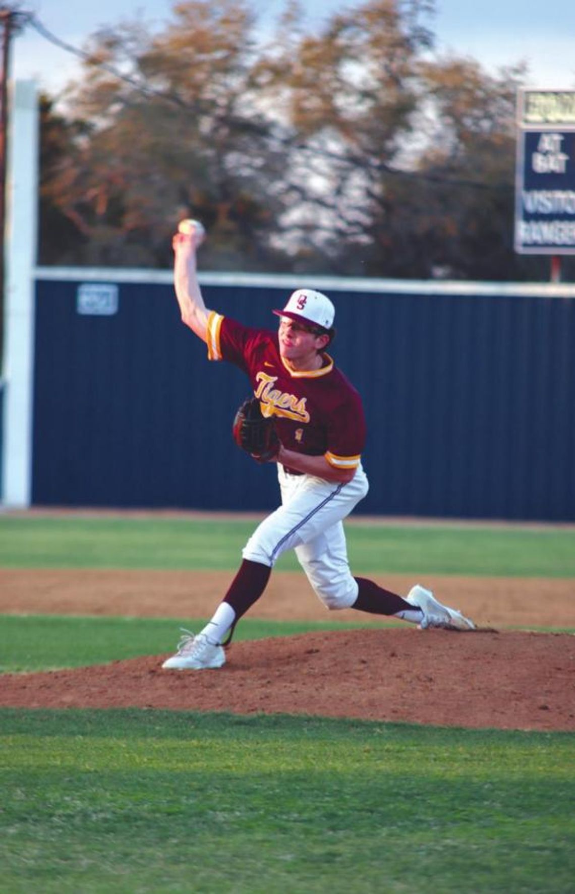 Tigers struck out by Johnson