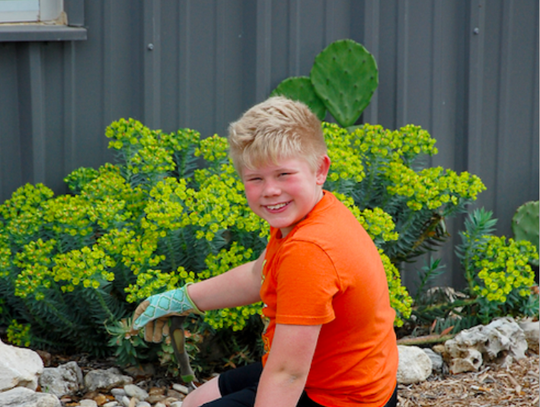 4-H AND MASTER GARDENERS WORK ON RANCH PARK LANDSCAPING