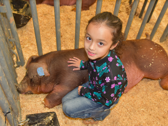 Lilah Lyons with her Duroc pig named Bucks, which won Reserve Grand Champion.