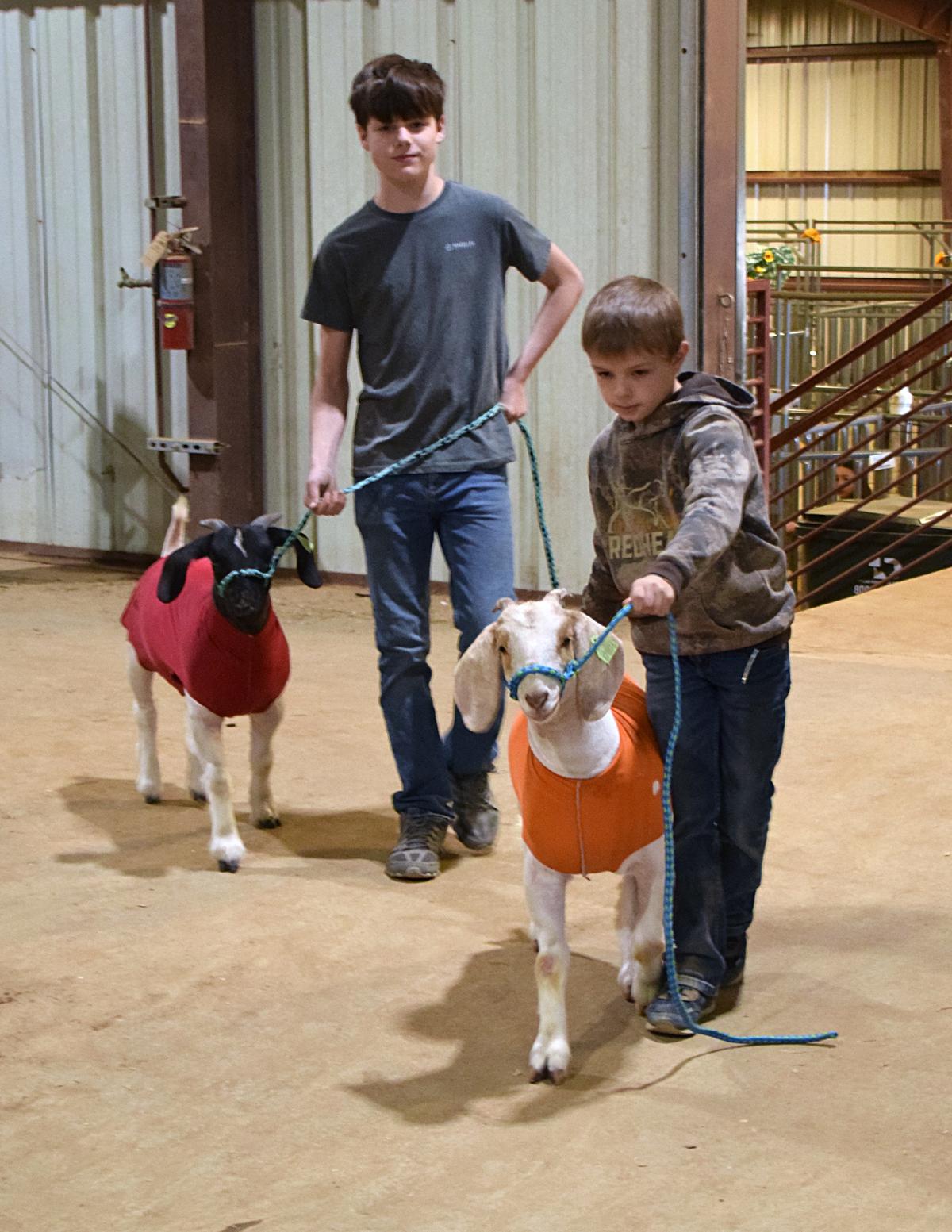 PHOTO BY LAURIE ANDERSON Trace Hunt and Barrett Hunt walk their goats before...