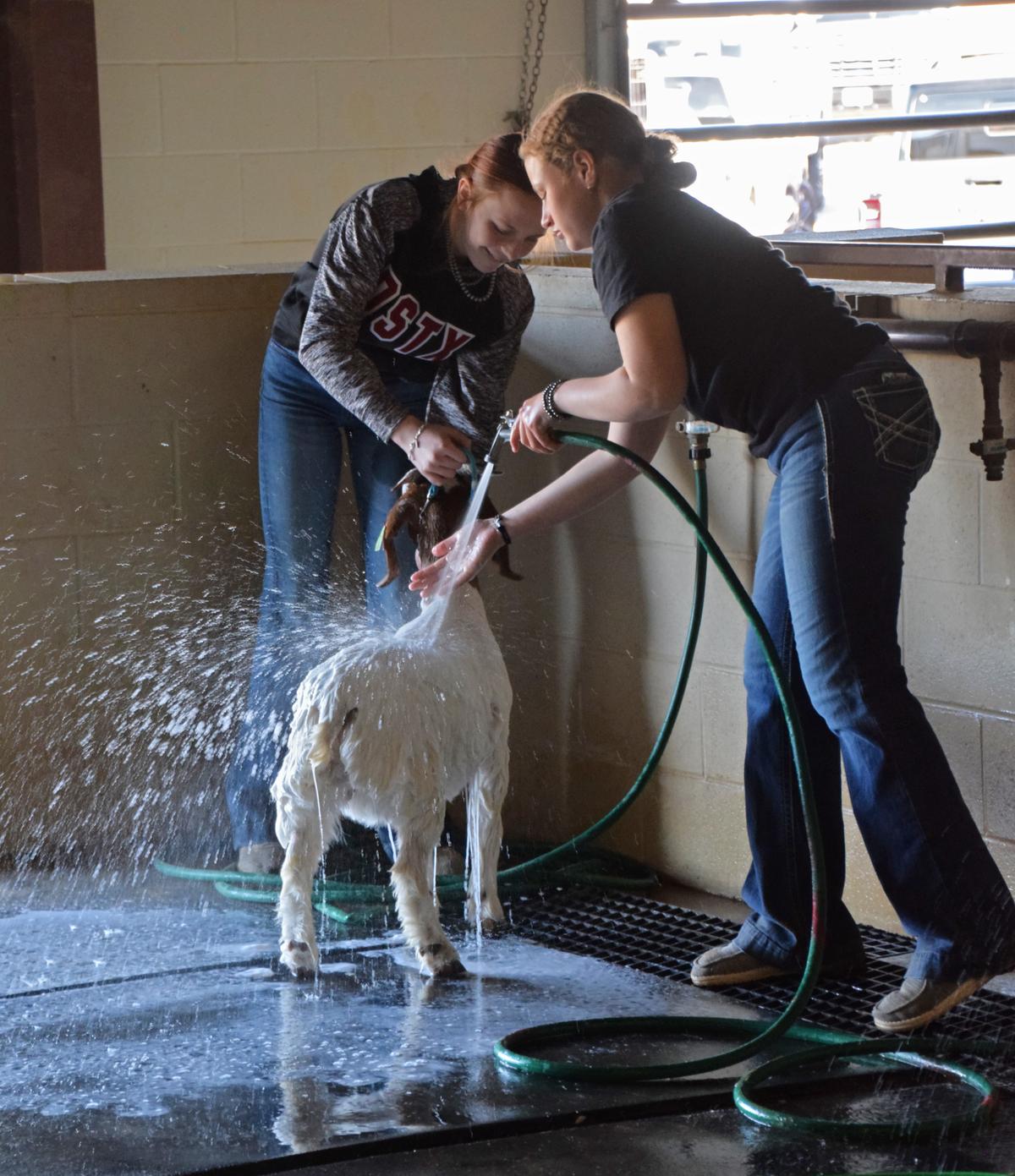 PHOTO BY LAURIE ANDERSON Lila Graham of Dripping Springs helps her friend Mea...