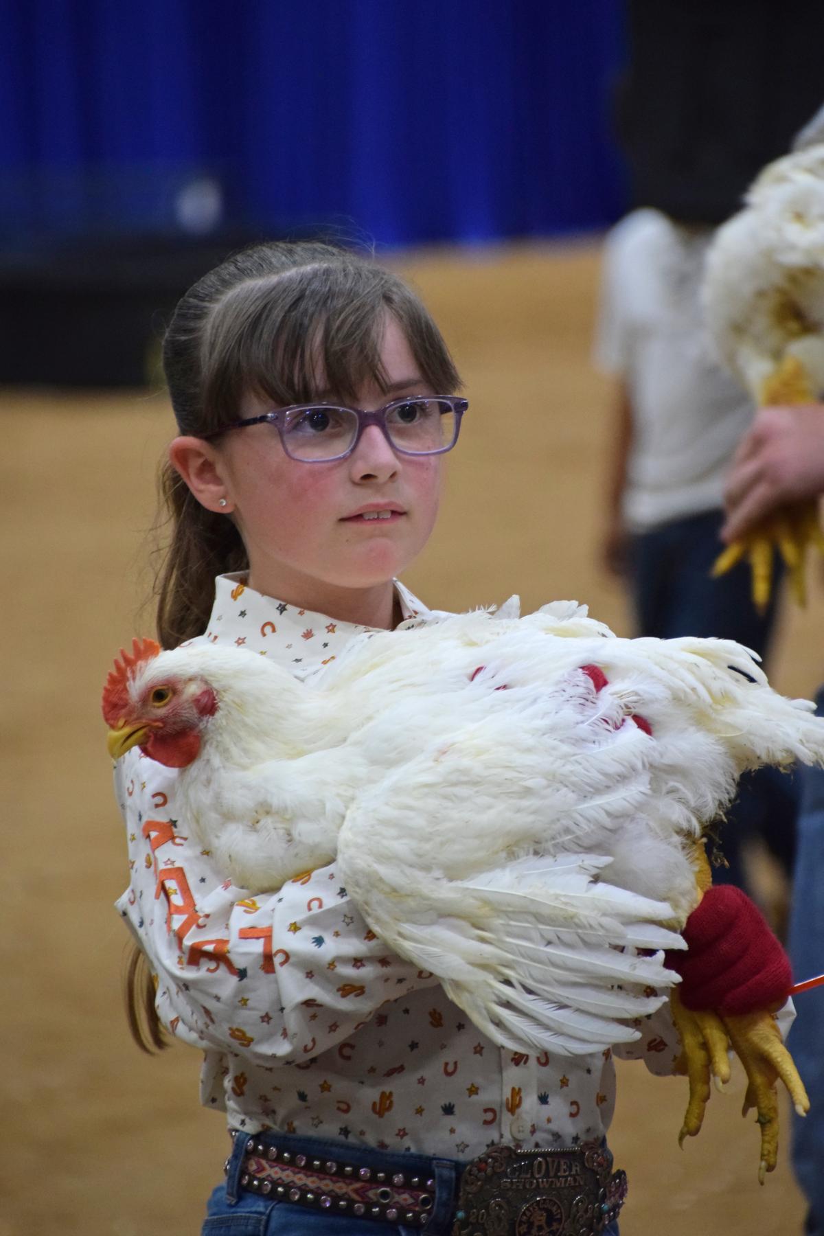 A contestant gets ready to show her chicken.