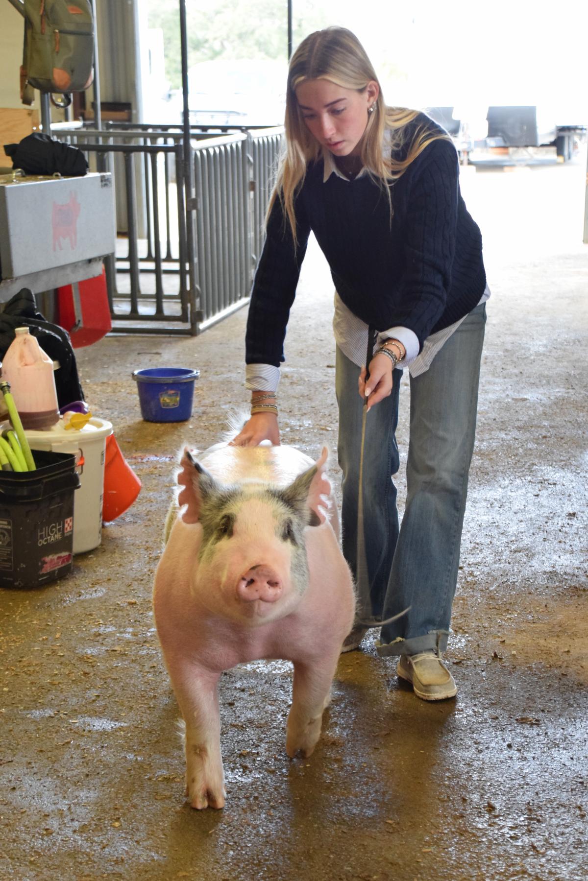 A contestant practices with her pig.