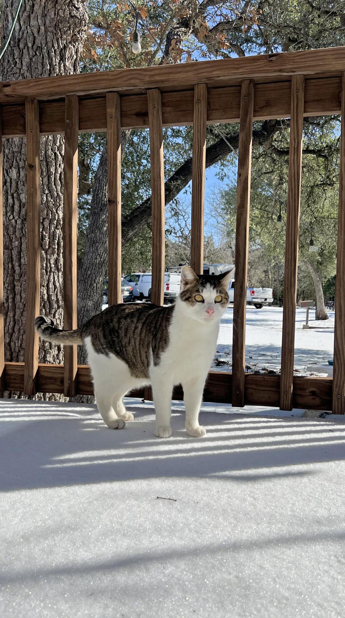 COURTESY OF LANEY ANDERSON