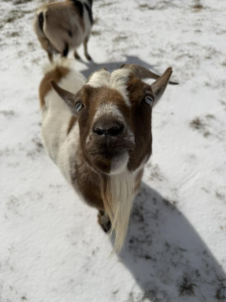 COURTESTY OF STEPHANIE PASTICK PARKER