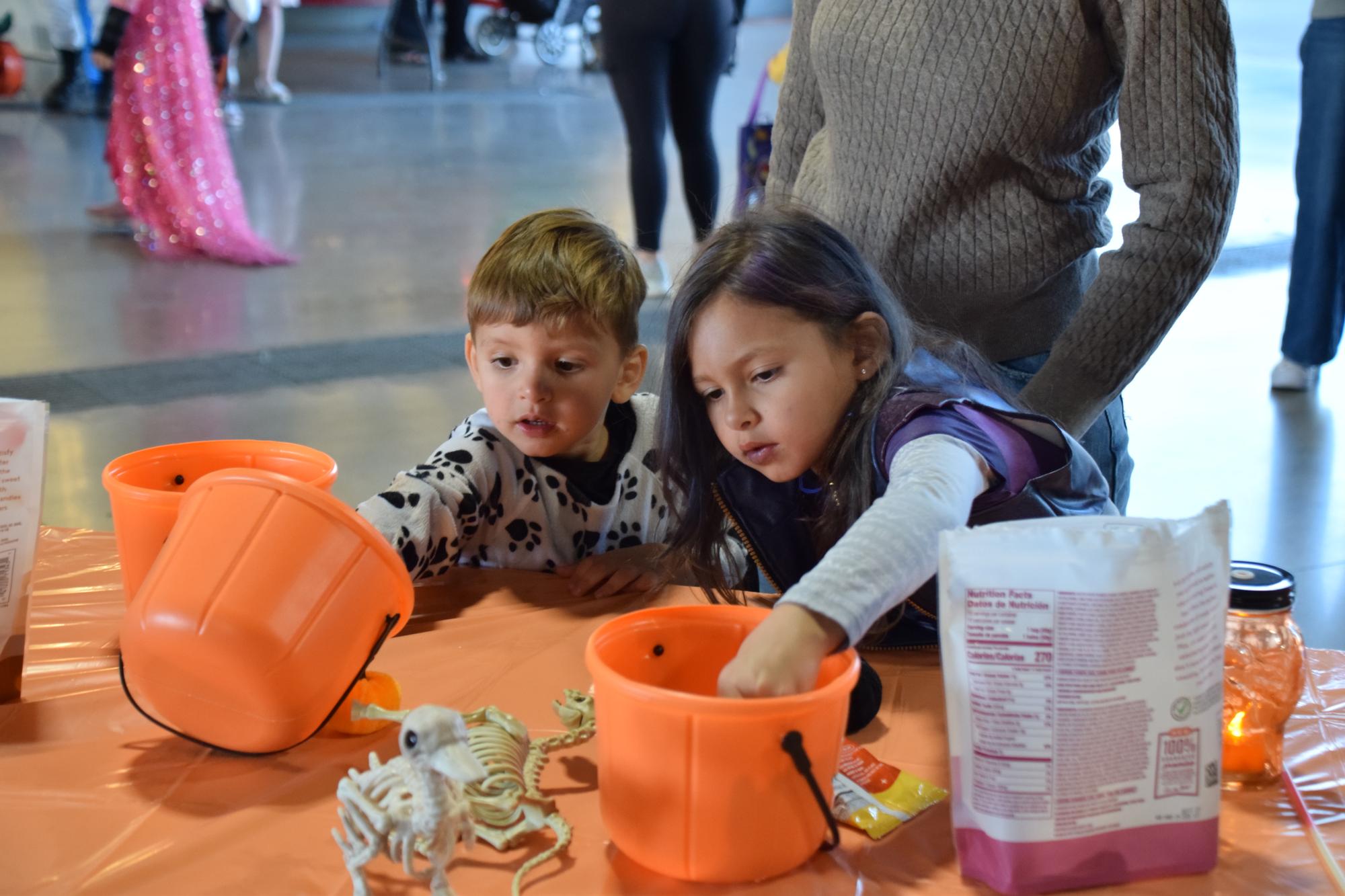 PHOTO BY LAURIE ANDERSON Bruno and Blanca check out the goodies on the H-E-B...