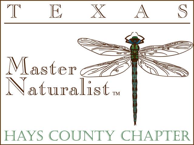 Image Logo - HCMN copy (1).jpeg (9796796)