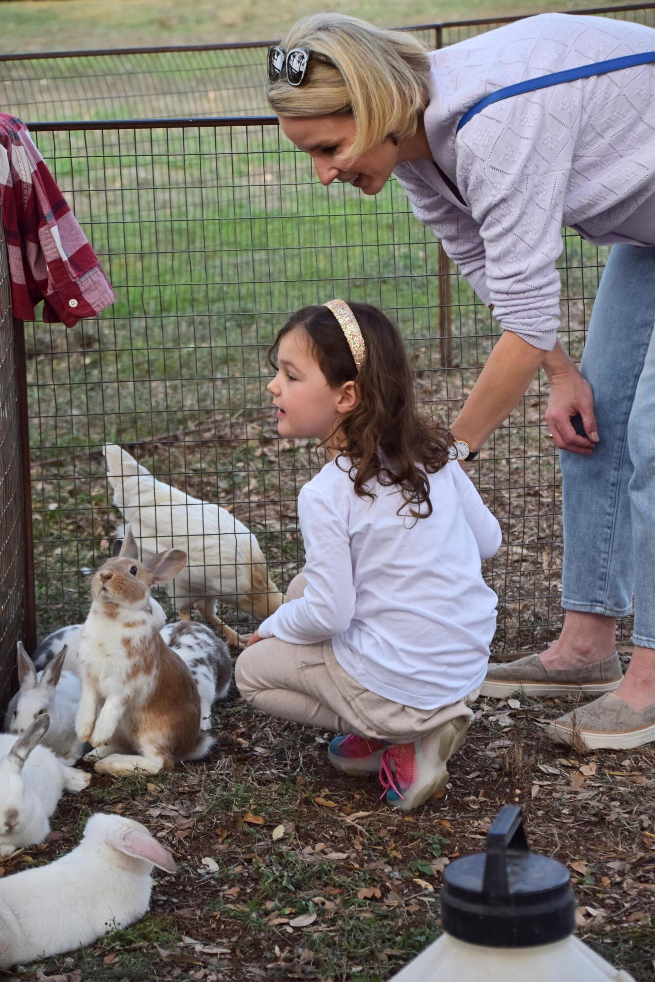 PHOTO BY LAURIE ANDERSON The petting zoo allowed children to get up close wit...